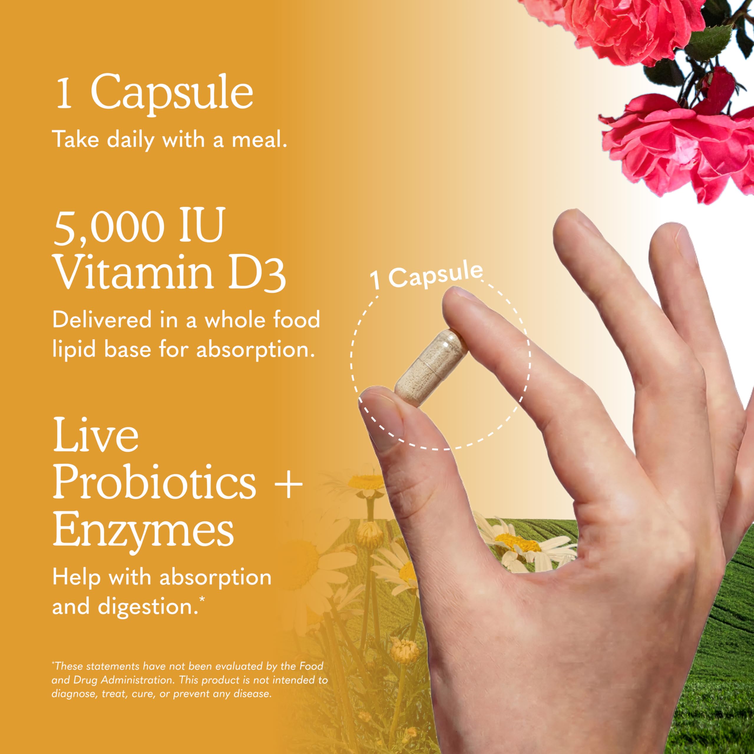 Vitamin D3 Garden of Life 5000 IU Raw Whole Food Supplement

