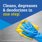 Pine-Sol Multi-Surface Cleaner by CloroxPro | Lemon Fresh

