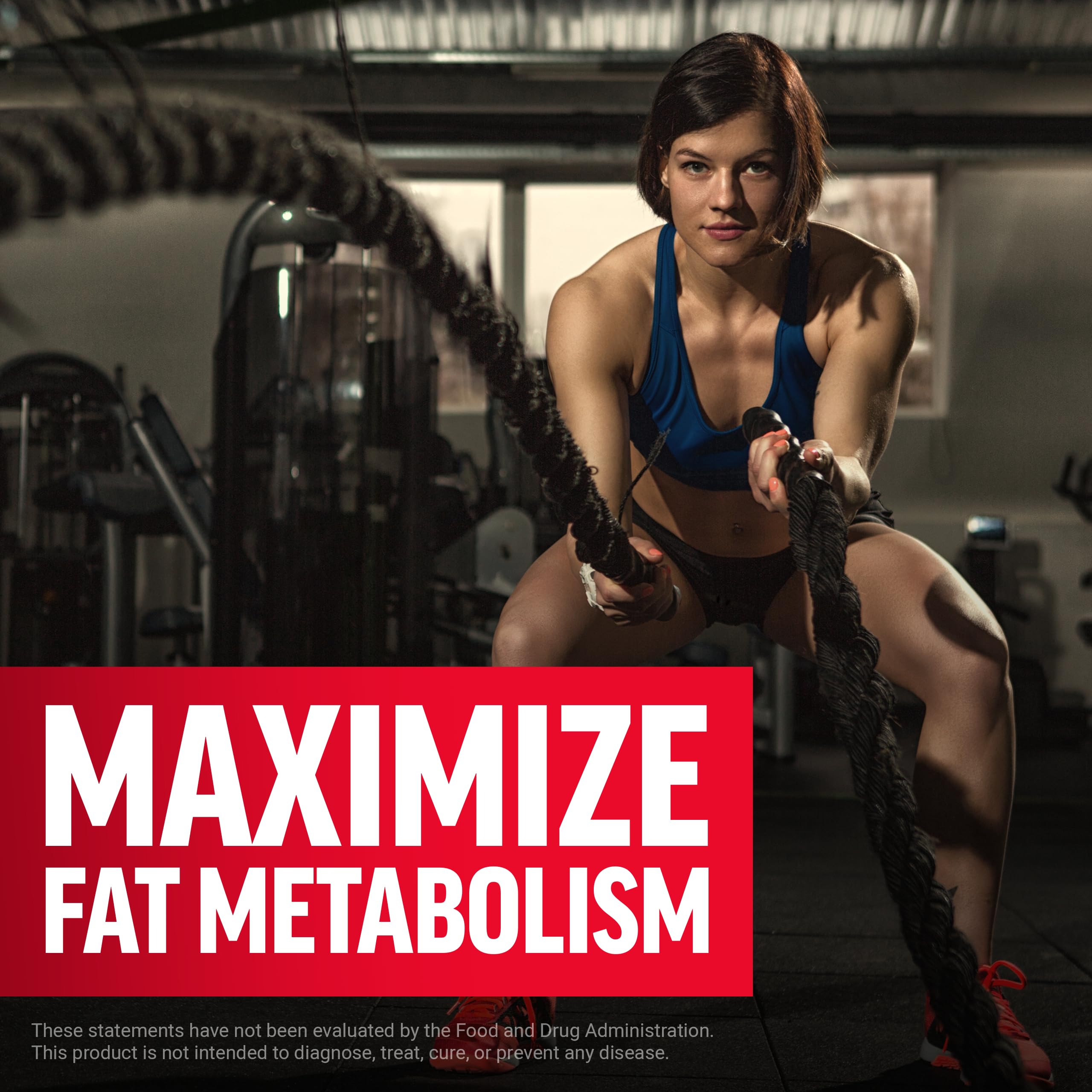 Force Factor L-Carnitine Liquid 3000mg | Fat Metabolism Support

