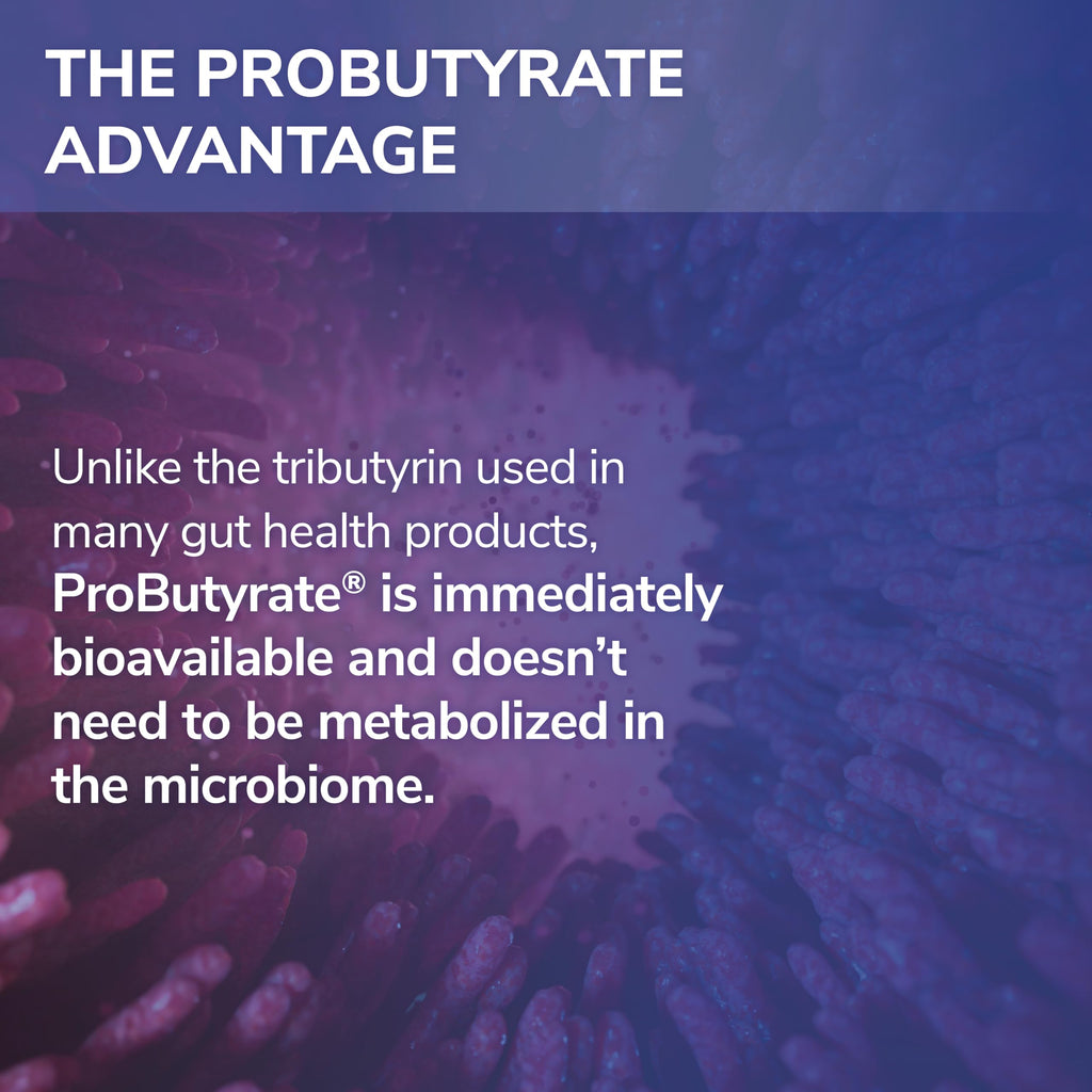 Tesseract ProButyrate Gut Health Supplement

