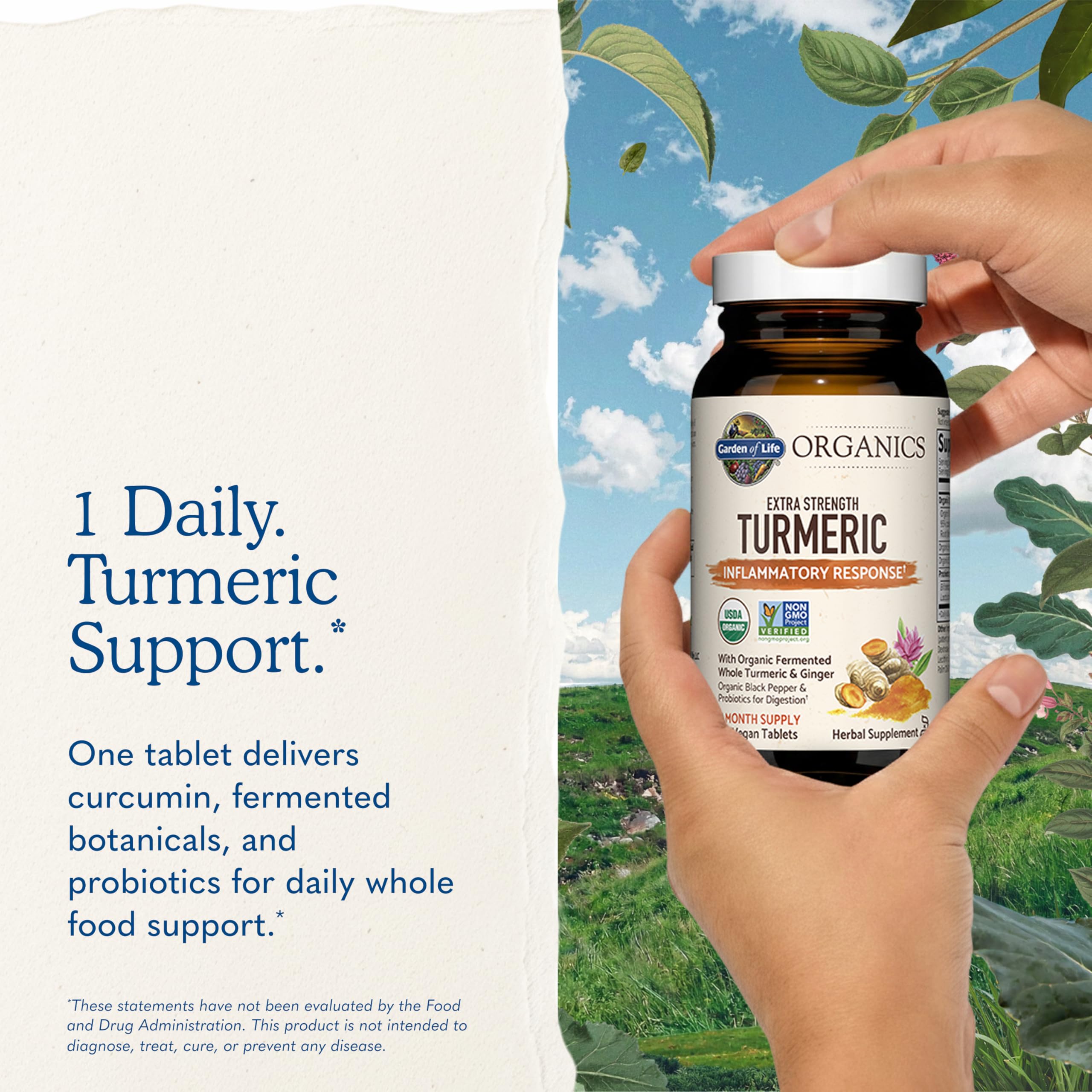 Garden of Life Organic Turmeric with Probiotics – Supplement

