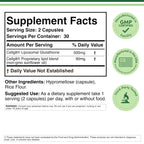 Double Wood Liposomal Glutathione Supplement 500 mg

