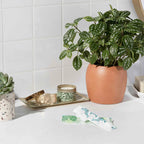L. Organic Cotton Tampons BPA-Free Applicator


