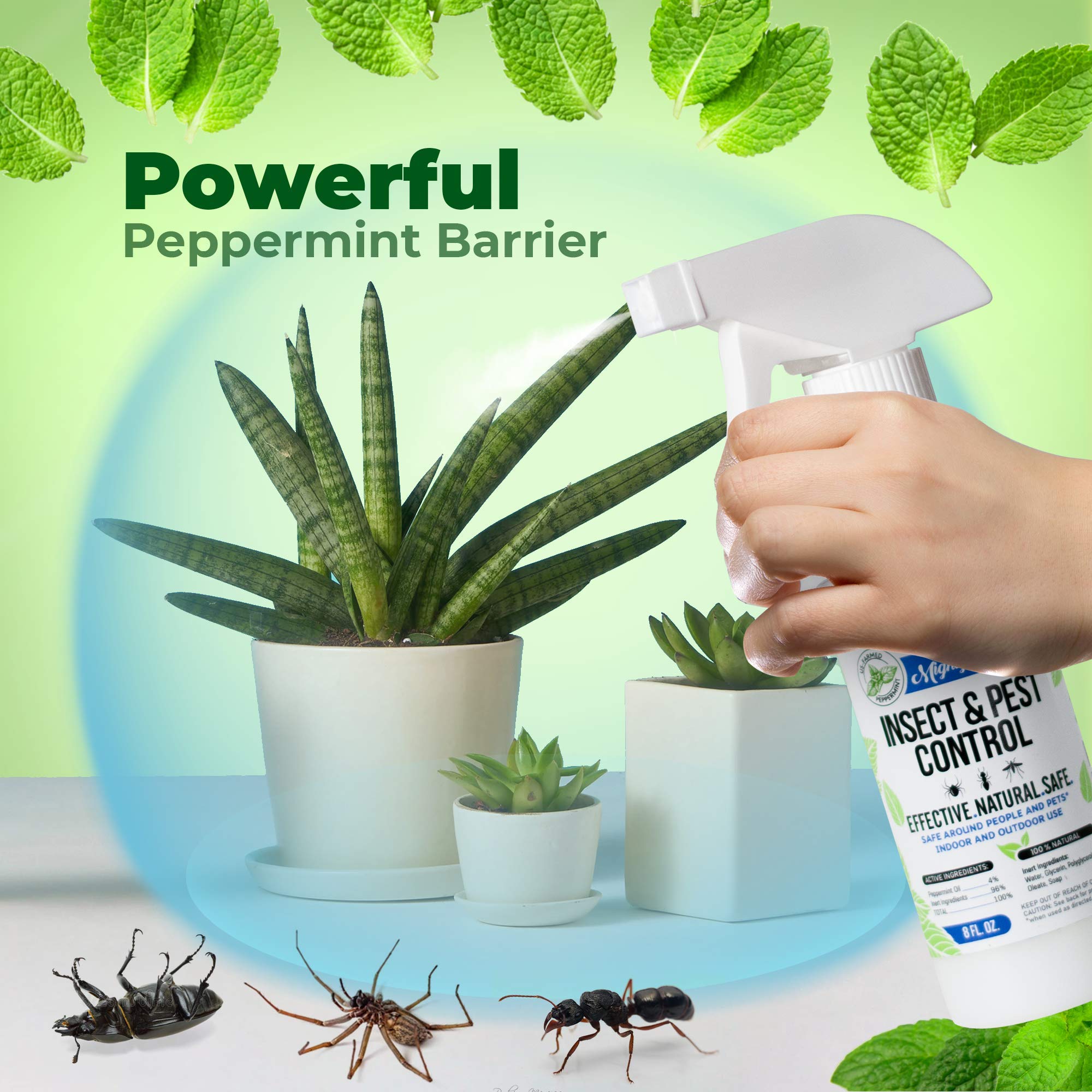 Peppermint Oil Insect Control Spray - Safe & Natural

