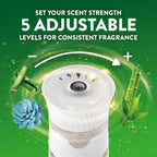 Air Wick Plug-In Scented Oil Refills | Universal Fragrance

