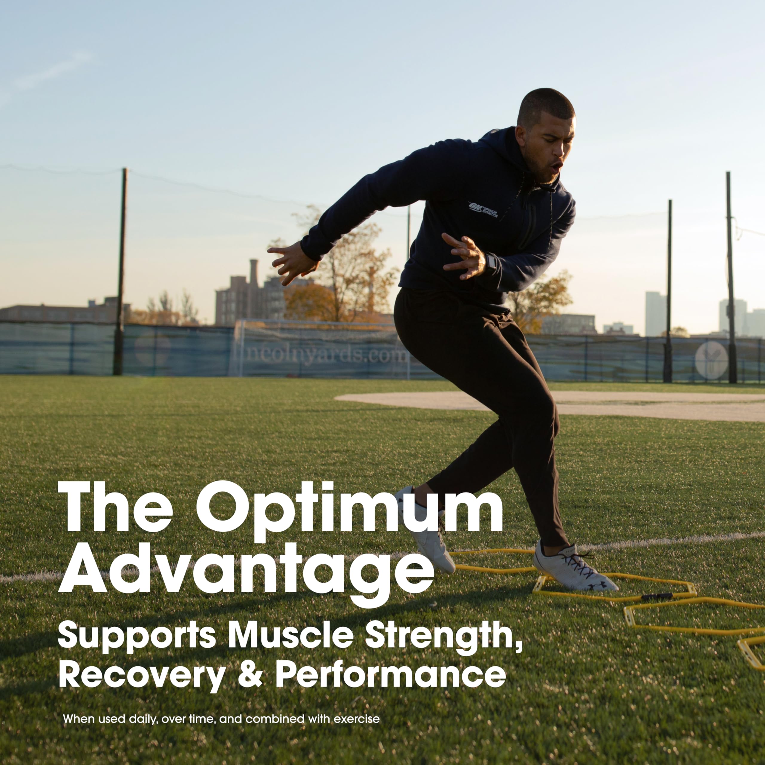Optimum Nutrition Creatine Monohydrate Gummies | Performance


