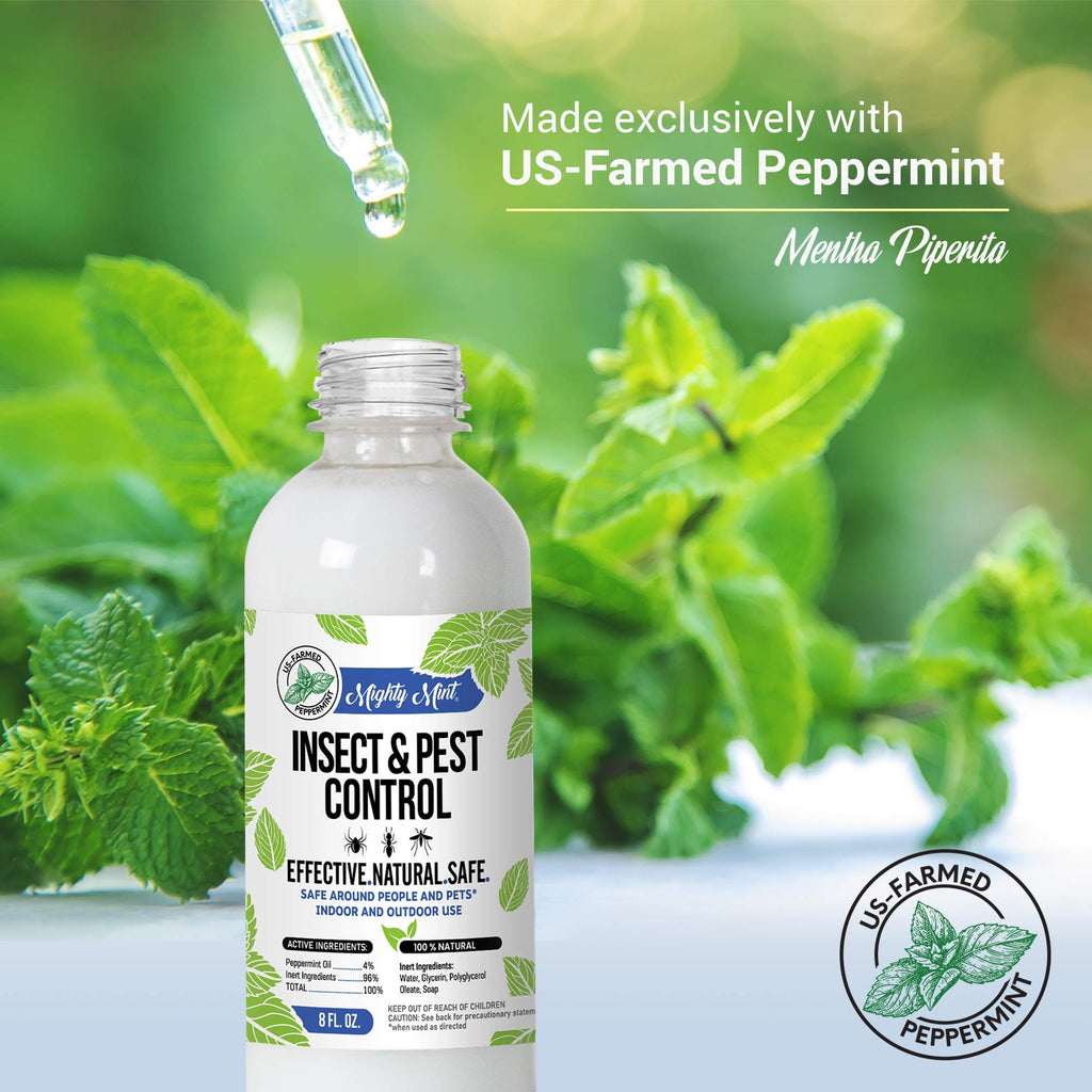 Peppermint Oil Insect Control Spray - Safe & Natural


