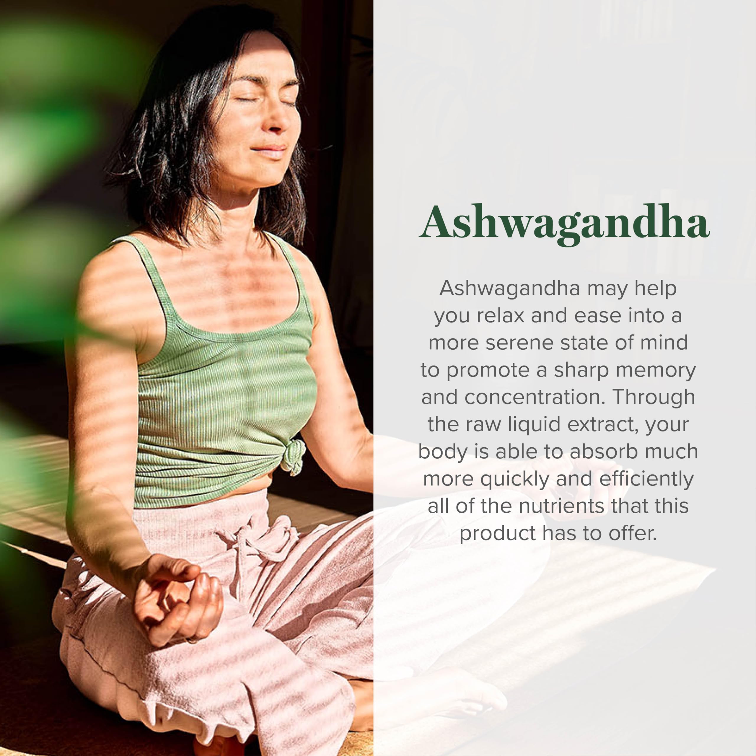 Global Healing Center Ashwagandha Drops with KSM-66 | Stress

