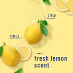 Febreze Odor-Fighting Air Freshener | Odor Control

