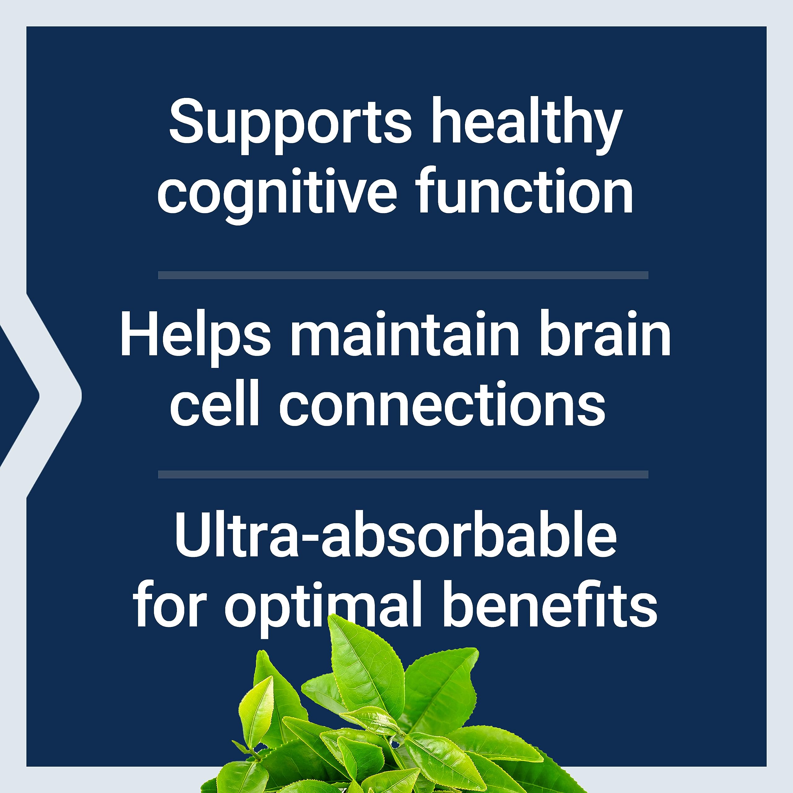 Life Extension Magnesium L-Threonate Neuro-Mag Supplement

