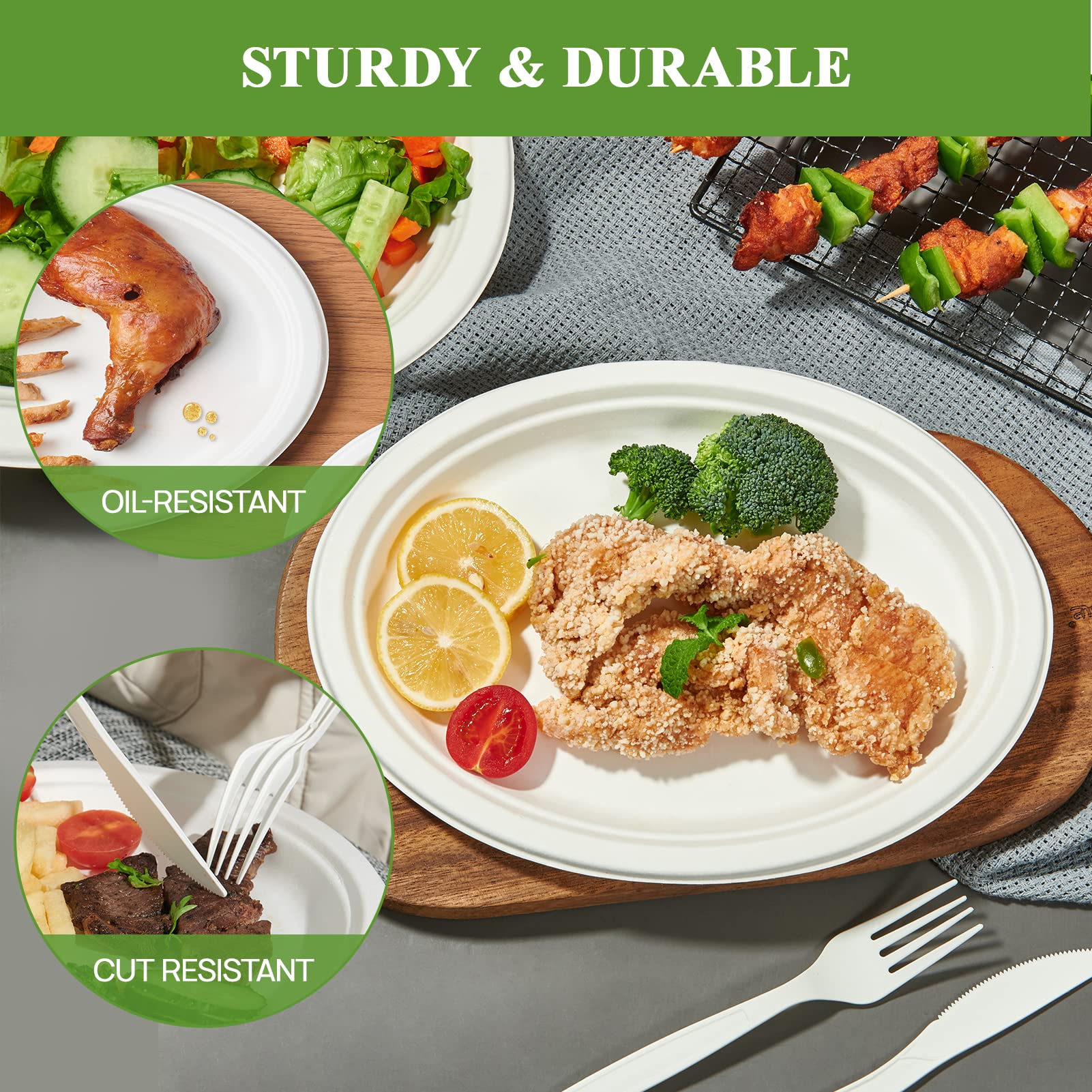 Vplus Oval Paper Plates - Compostable Bagasse Fiber

