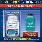 KIDNEY C.O.P. Calcium Oxalate Protector Capsules

