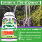 FRESH HEALTHCARE Moringa Supplement | Energy & Immunity

