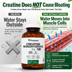 PRISTINE'S Creatine Monohydrate Capsules for Men and Women

