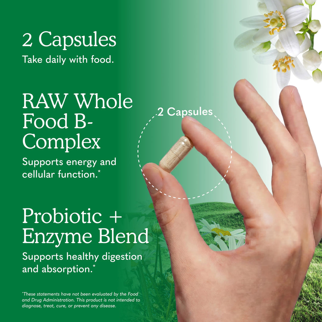 Garden of Life Vitamin B Complex - High Potency B Vitamins

