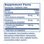 Life Extension Theanine XR Stress Relief Calming Supplement


