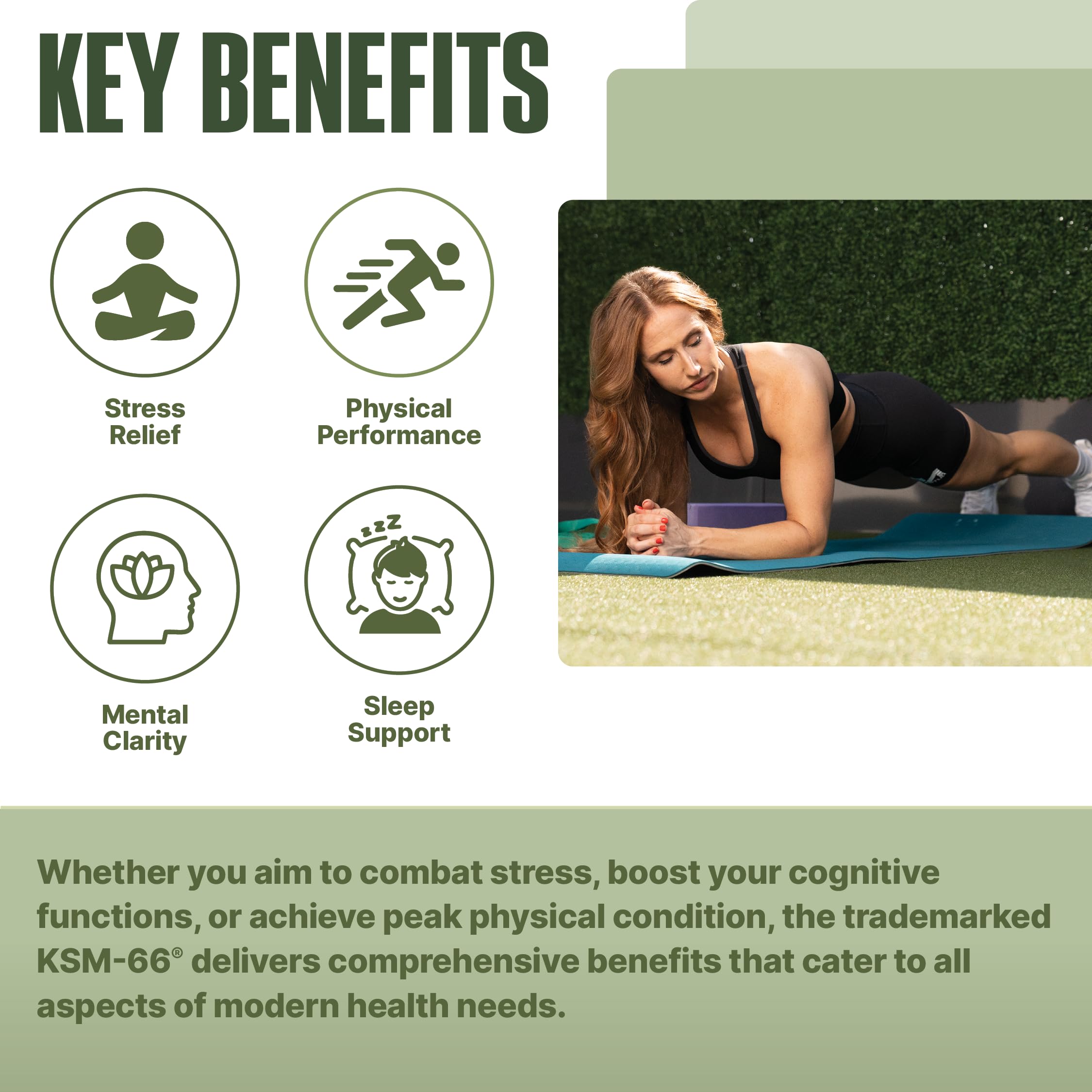 NutraBio Ashwagandha KSM-66 | Stress & Mood Support

