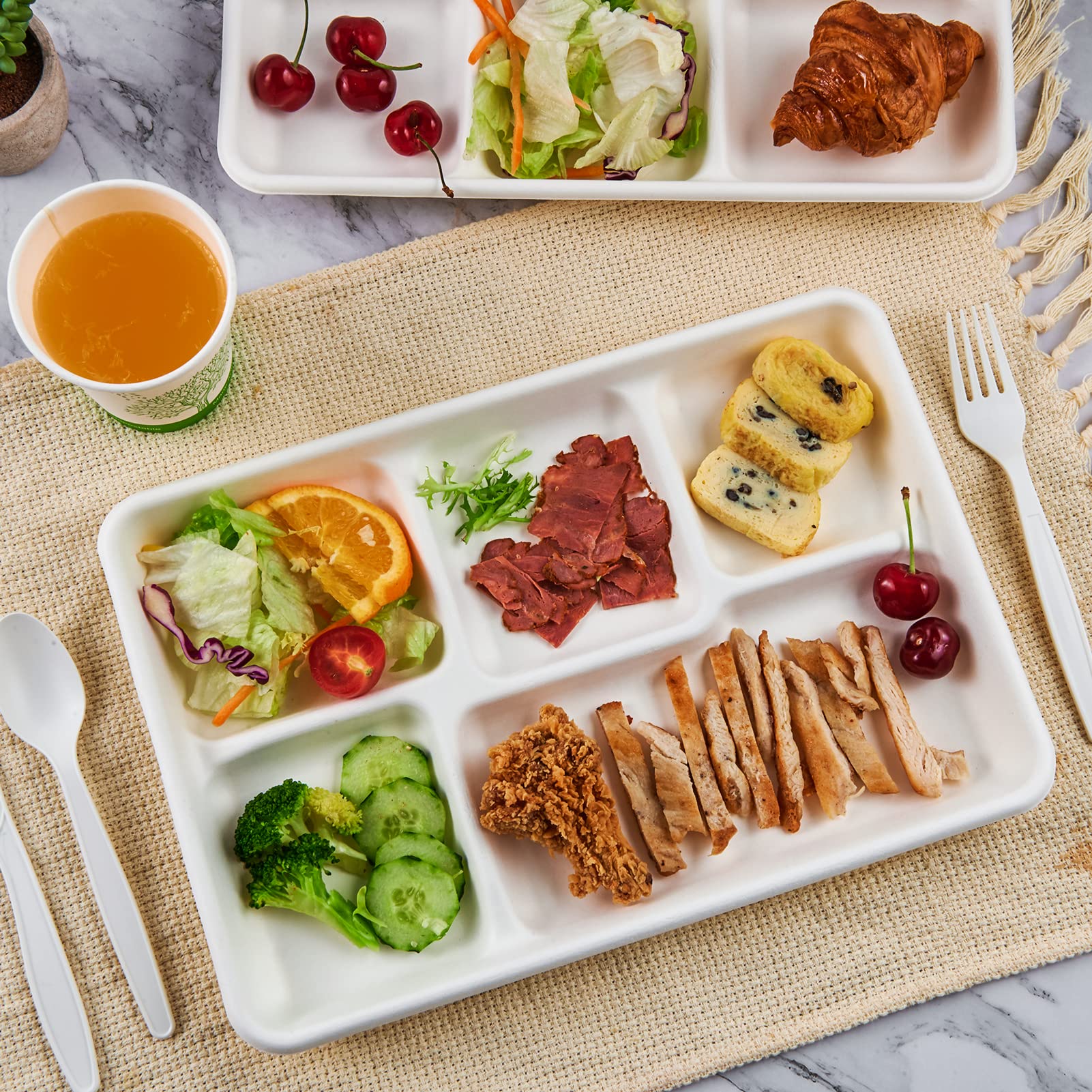 ECOLipak 5-Compartment Compostable Plates

