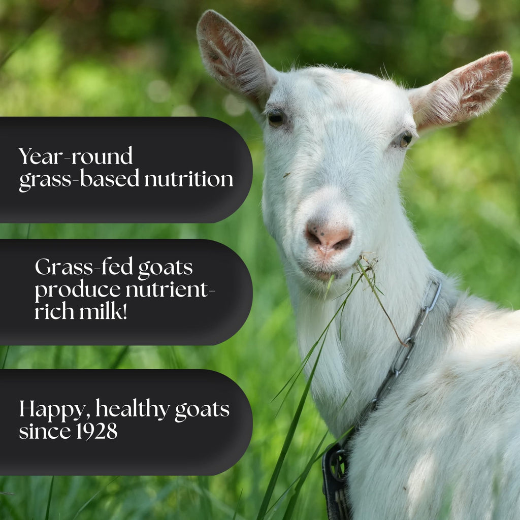 Mt. Capra Goat Whey Protein Powder - Grass-Fed Undenatured

