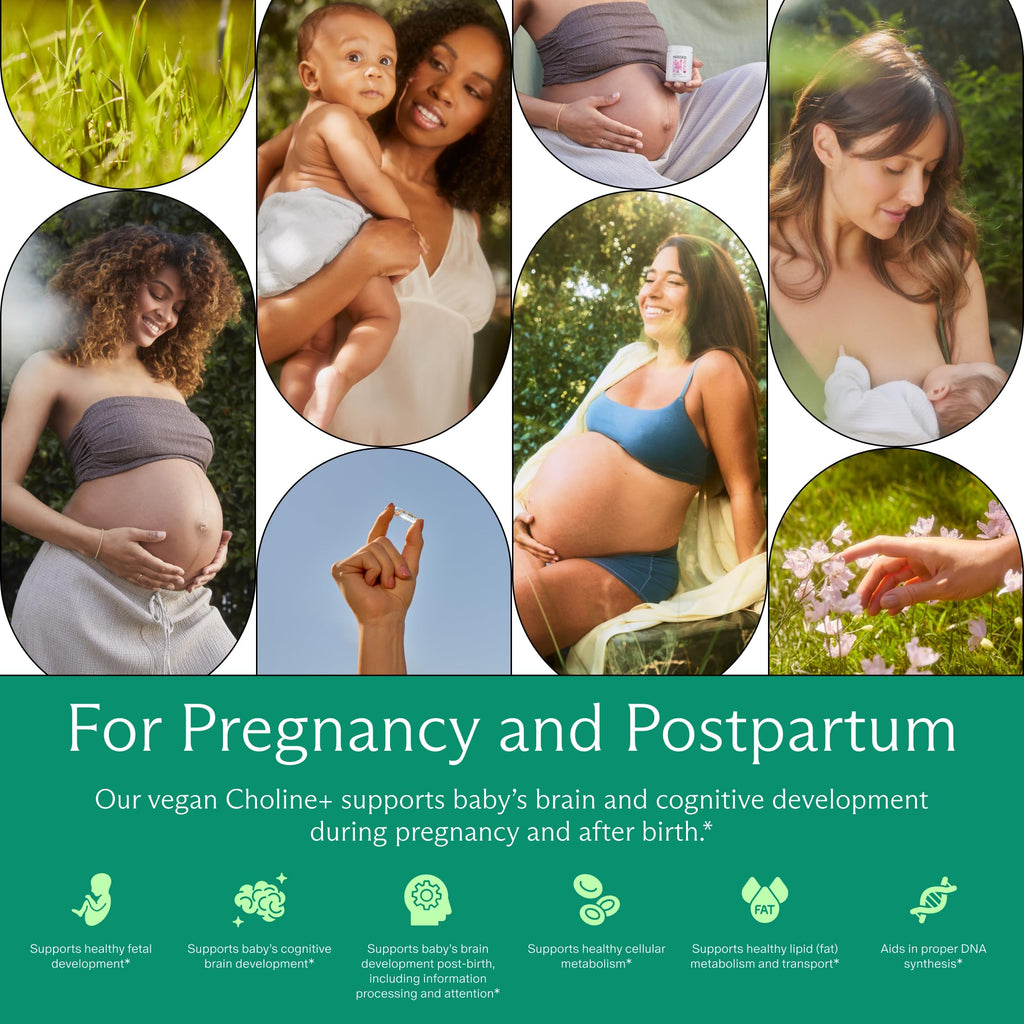 Needed Prenatal Choline+ Supplement for Baby Brain

