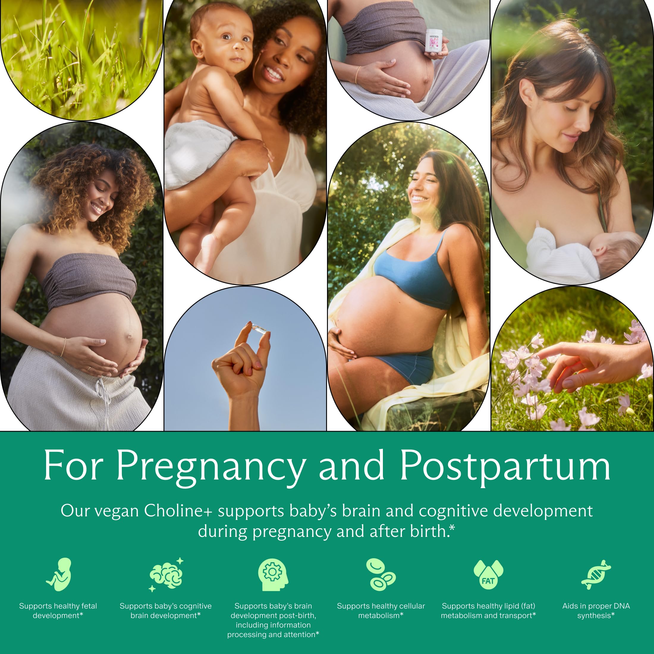 Needed Prenatal Choline+ Supplement for Baby Brain

