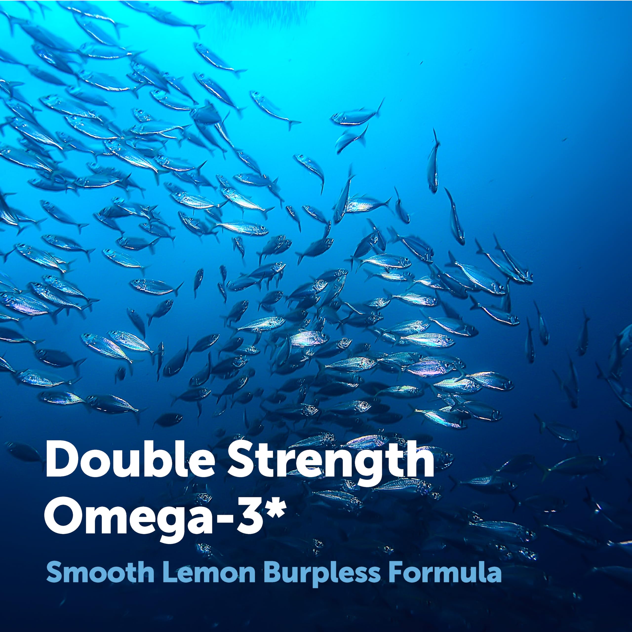 Micro Ingredients Omega-3 Fish Oil Softgels | EPA 540 DHA 360

