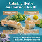 OmniCalm Cortisol Support Supplement | Stress & Sleep

