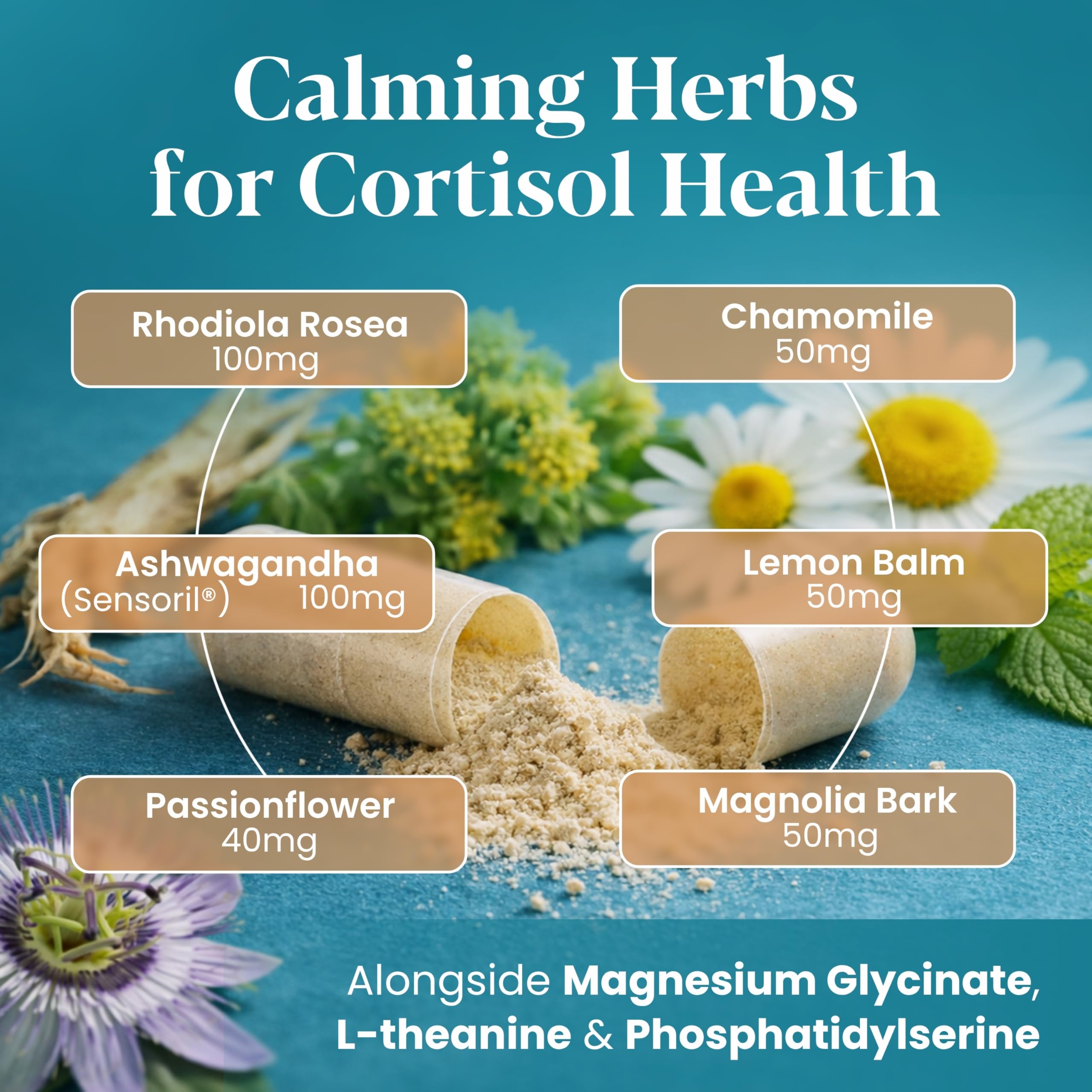 OmniCalm Cortisol Support Supplement | Stress & Sleep

