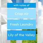 Glade PlugIns Air Freshener Starter Kit

