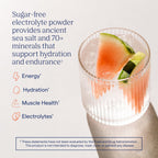 Trace Minerals ZeroLyte Electrolyte — Zero Sugar Hydration

