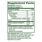 Align Probiotic Gummies with Prebiotics for Digestive Health

