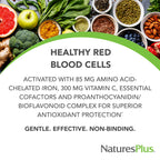 NaturesPlus Hema-Plex Iron – Fast-Acting Chelated Iron

