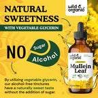 Wild & Organic Mullein Drops for Lungs with Echinacea

