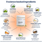 Avantera Elevate Nootropic Supplement for Focus

