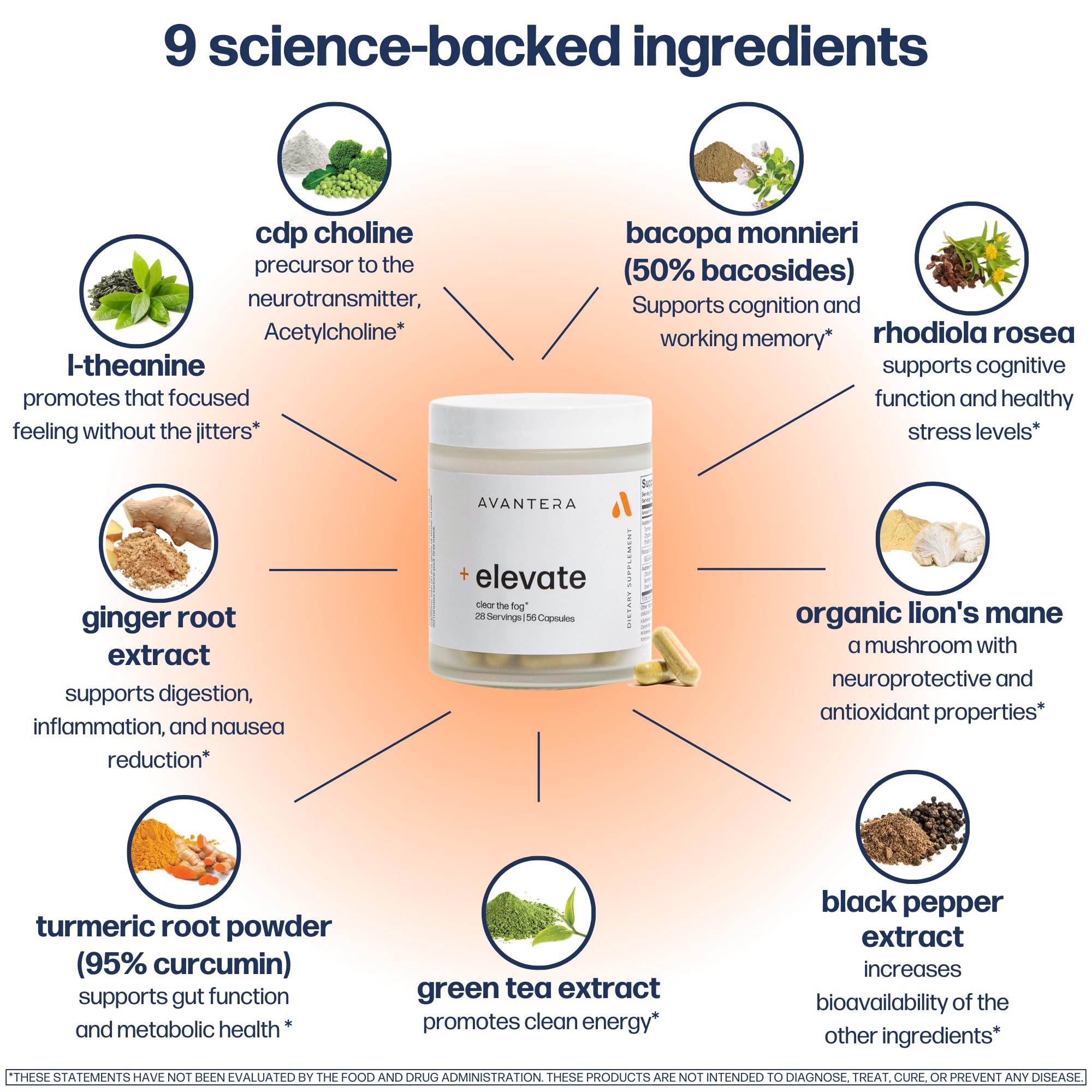 Avantera Elevate Nootropic Supplement for Focus

