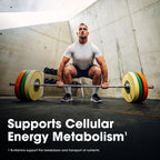 Opti-Men Multivitamin for Men Immune Support | Optimum Nutrition

