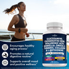 New Age Glucosamine Chondroitin MSM Curcumin Omega-3

