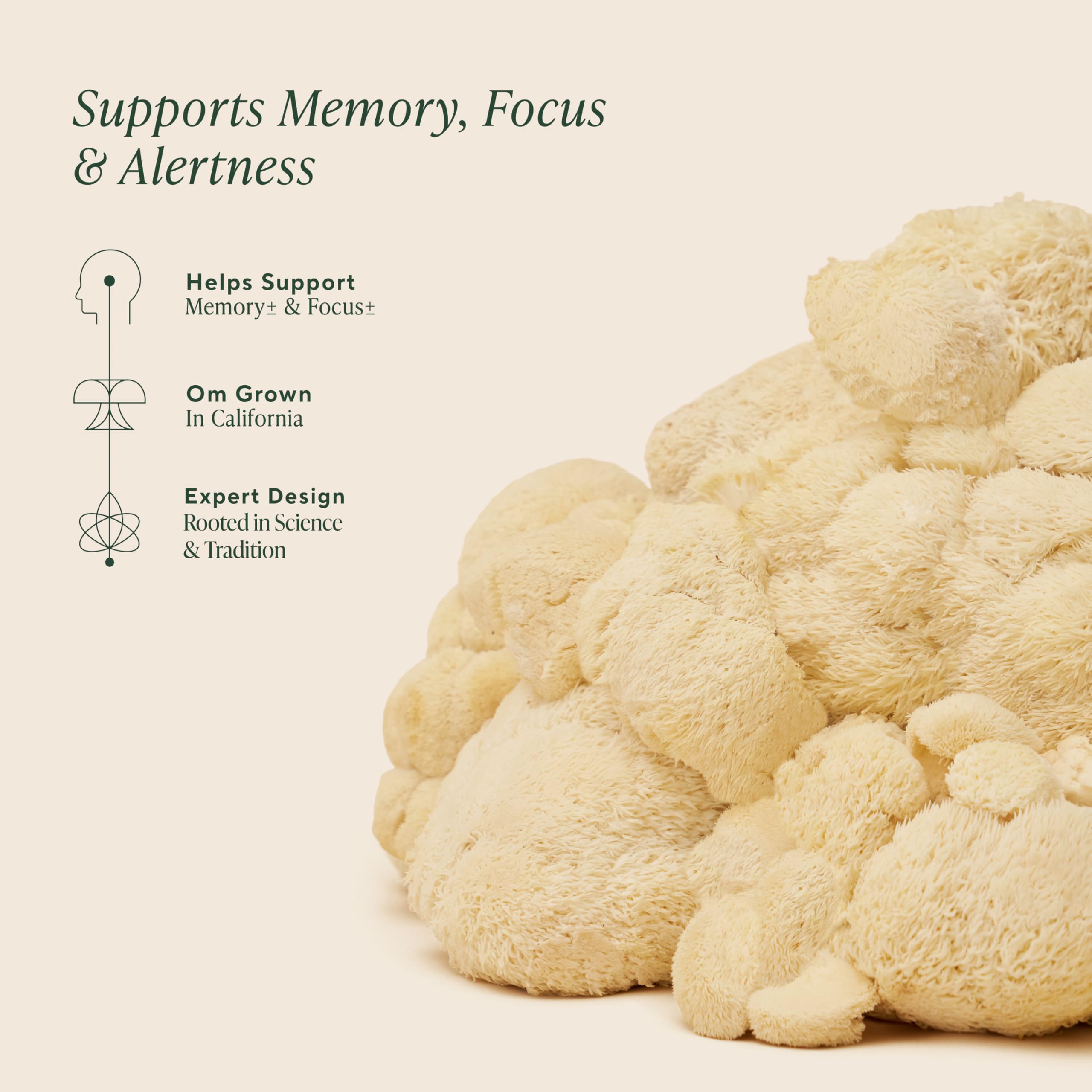 Om Lion’s Mane Mushroom Capsules for Brain Support

