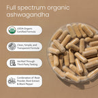 NaturaLife Labs Organic Ashwagandha 2100 mg – Full Spectrum

