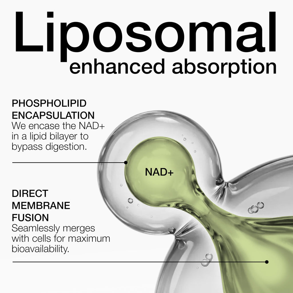 Toniiq Liposomal NAD+ & Resveratrol Supplement

