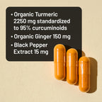 NatureWise Turmeric Curcumin + Ginger Supplement - Vegan


