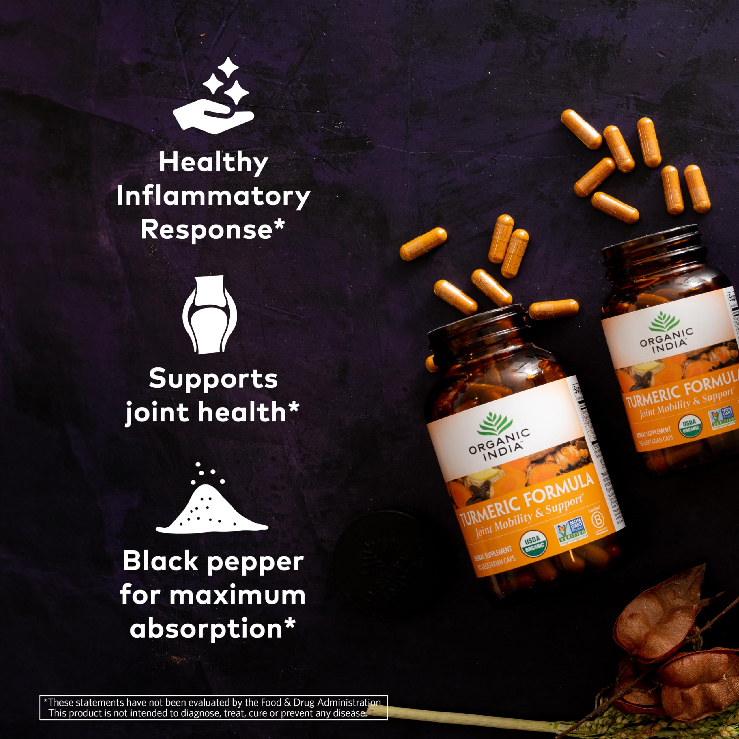 ORGANIC INDIA Turmeric Curcumin for Joint Mobility

