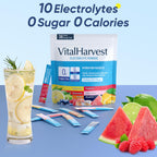 Electrolyte Powder Drink Mix - Sugar Free Hydration

