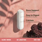 Sapling Algae Calcium Supplement | Bone Health

