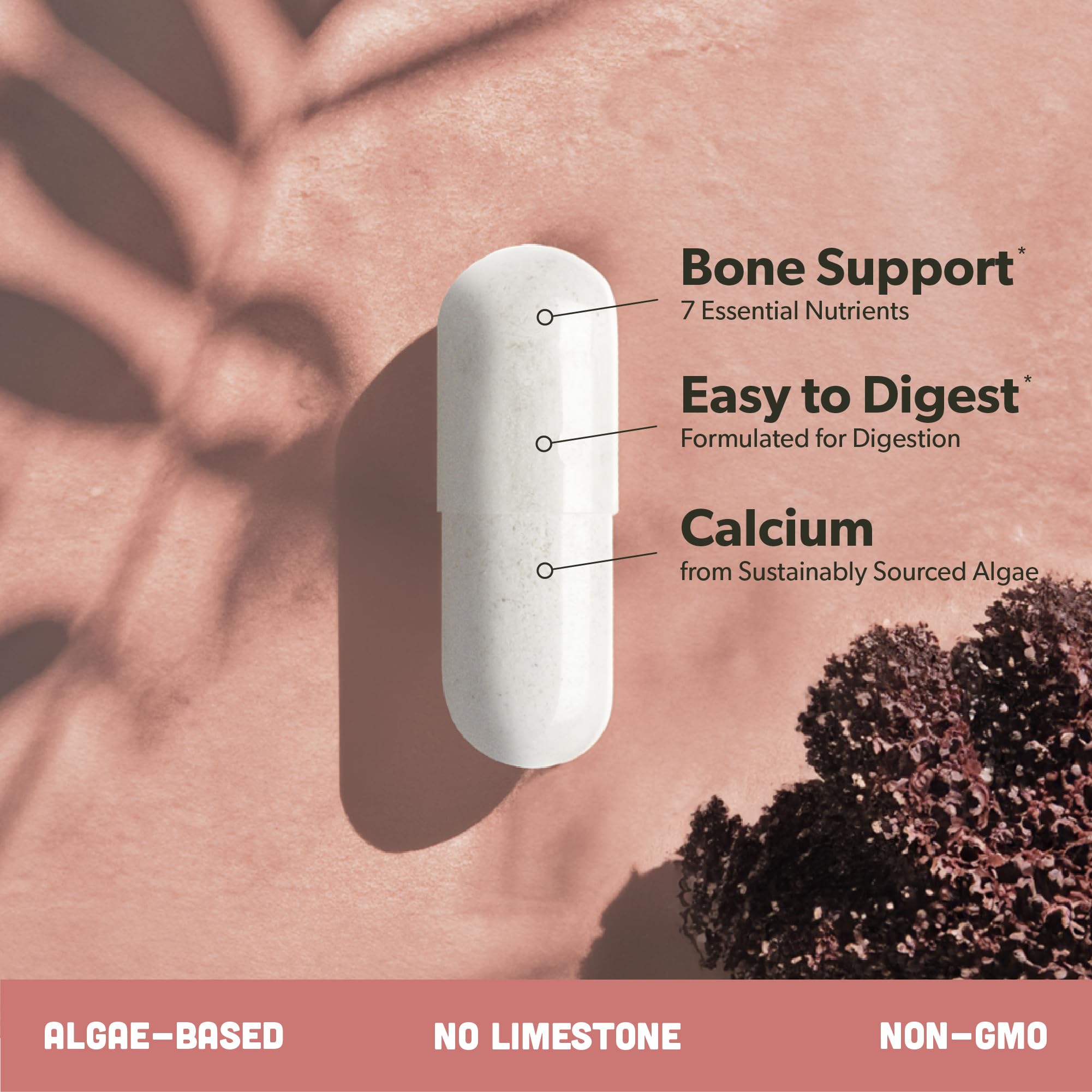 Sapling Algae Calcium Supplement | Bone Health

