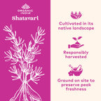 Organic India Shatavari Herbal Supplement - Hormone Support

