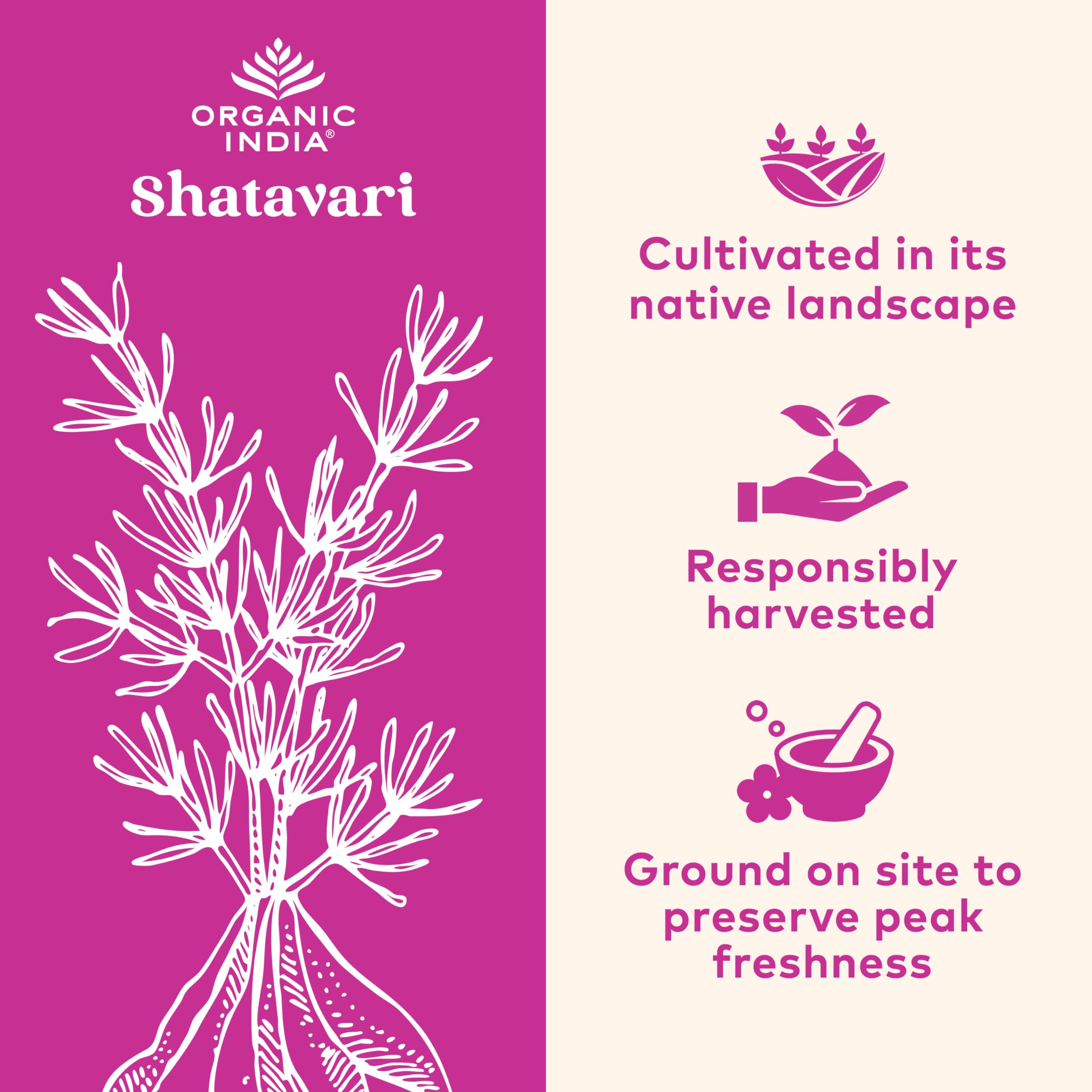 Organic India Shatavari Herbal Supplement - Hormone Support

