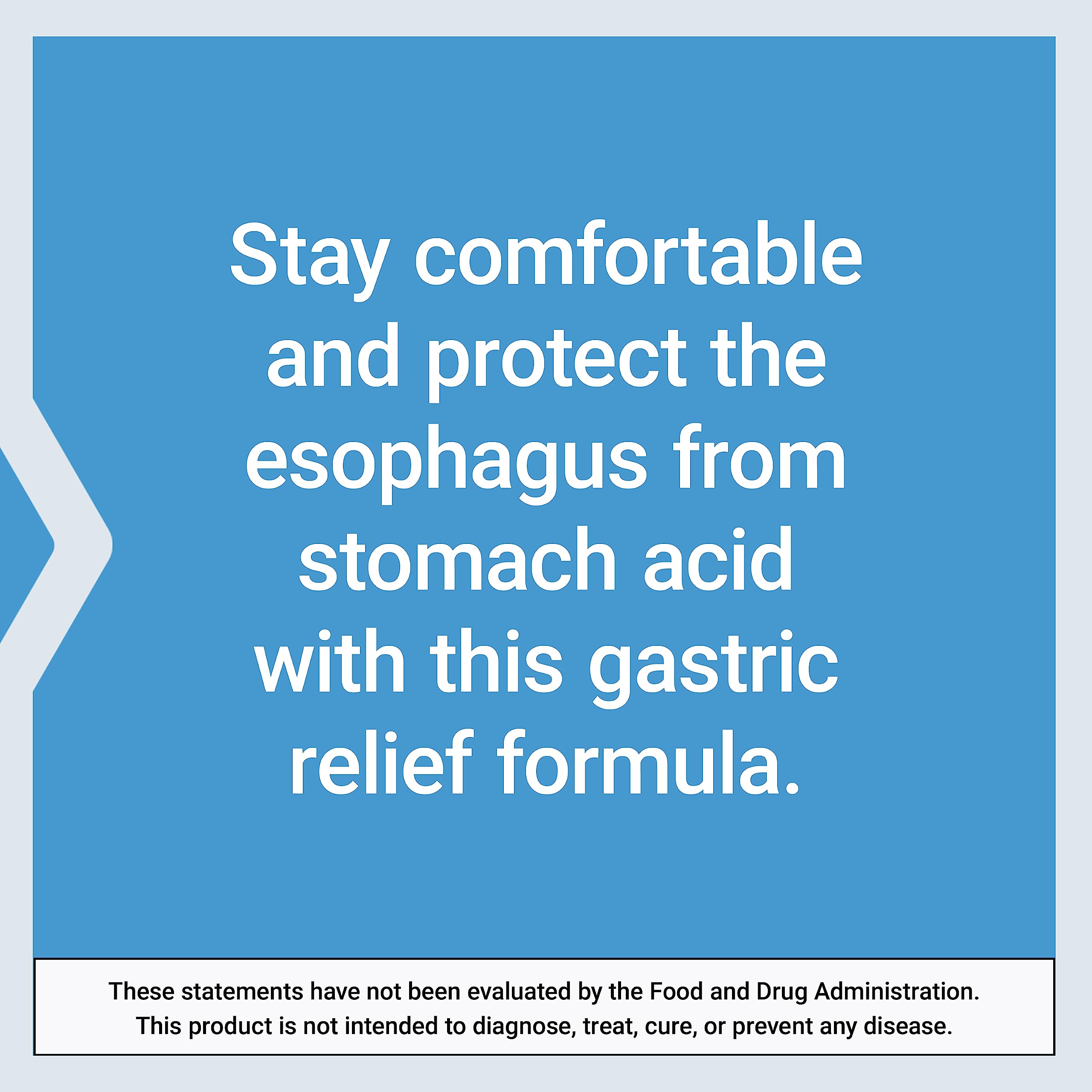 Life Extension Esophageal Guardian Digestive Health Chewables

