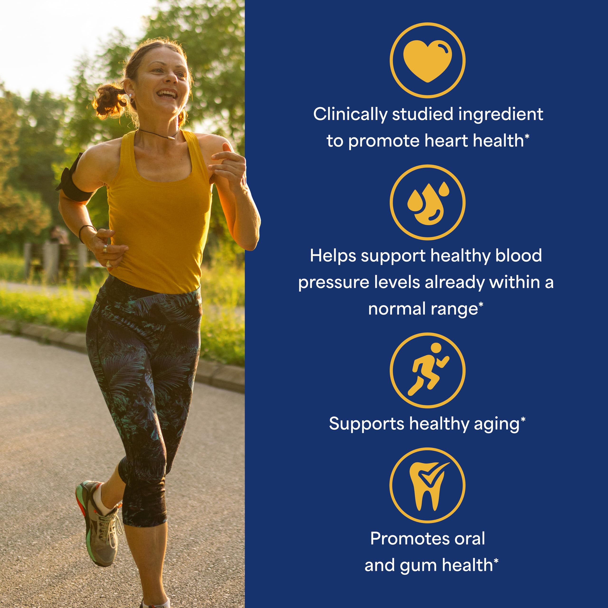 Coenzyme Q Dietary Supplement | Puritan's Pride

