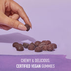 Garden of Life Organics Elderberry Gummies Immune Support

